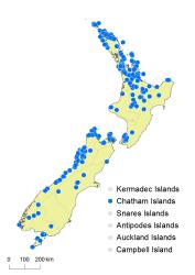 Gleichenia dicarpa distribution map based on databased records at AK, CHR and WELT.
 Image: K. Boardman © Landcare Research 2015 CC BY 3.0 NZ